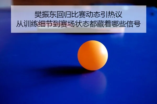 樊振东回归比赛动态引热议 从训练细节到赛场状态都藏着哪些信号